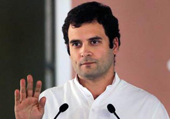 Rahul-Gandhi-to10584